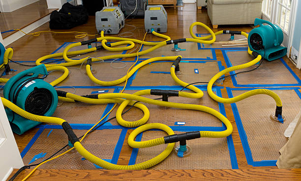 Professional Basement Flood Cleanup technician working in Savannah, TN